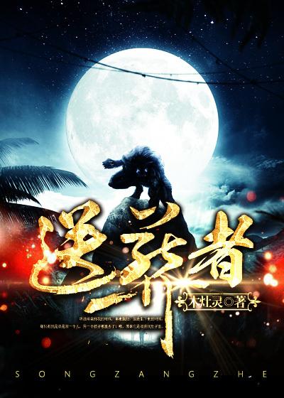 送葬者vs王中王