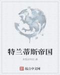 斯特兰蒂斯公司