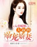 大叔娇宠傲娇宠妻苏暖全文免费阅读