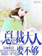 闪婚蜜爱总裁大人要不够似锦流年