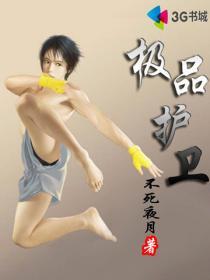 极品护卫tet
