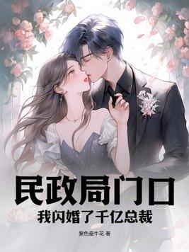 民证局门口闪婚总裁