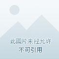 皇家庶女