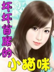 坏坏猫搜索安装