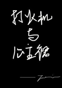 打火机公主裙讲的啥