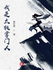 太极掌门人什么意思