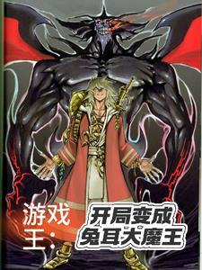 游戏王之开局一套神之卡