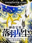 神奇宝贝之落羽星辰2