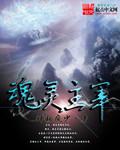 灵魂的主宰阿姨续