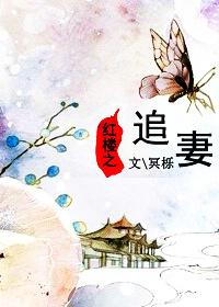 红楼追妻指南