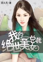 我的绝世美女总裁张辰枫